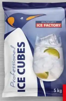 Handelshof Walter Gott Ice Factory PROFESSIONAL CUBES Angebot