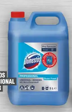 Handelshof Domestos Professional Reiniger Angebot