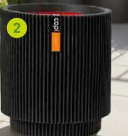 Pflanzen Kölle Capi Europe Pflanzgefäß Groove Zylinder Angebot