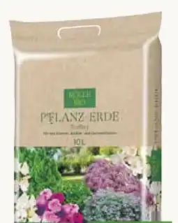 Pflanzen Kölle Kölle's Bio Pflanz-Erde Torffrei Angebot