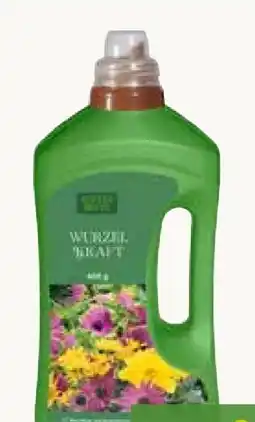 Pflanzen Kölle Kölle's Beste Wurzelkraft Angebot