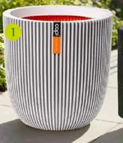 Pflanzen Kölle Capi Europe Pflanzgefäß Groove Angebot