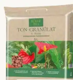 Pflanzen Kölle Kölle's Bio Ton-Granulat Angebot