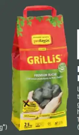 OBI proFagus Buchen-Grill-Holzkohlebriketts Grillis Angebot