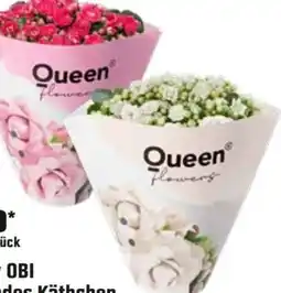 OBI Grow By Obi Flammendes Käthchen Angebot