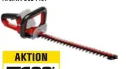 OBI Einhell Akku-Heckenschere Arcurra 18/55 Solo Angebot