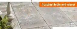 OBI Terrassenplatte Bologna Angebot