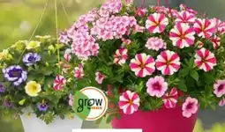 OBI Grow By Obi Gattungsmix Ampel Angebot