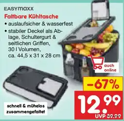 Netto Marken-Discount EASYmaxx Faltbare Kühltasche Angebot