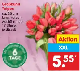 Netto Marken-Discount Großbund Tulpen Angebot