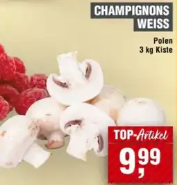 Handelshof Champignons weiss Angebot