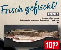 Handelshof Forelle Angebot