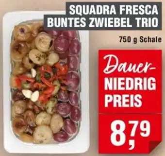Handelshof Squadra fresca buntes zwiebel trio Angebot