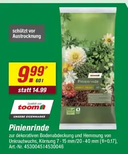 toom Baumarkt Pinienrinde Angebot