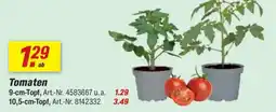 toom Baumarkt Tomaten Angebot