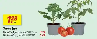 Tomaten