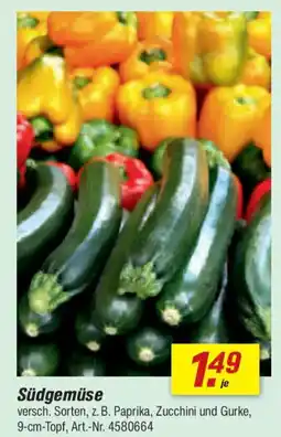 toom Baumarkt Südgemüse Angebot