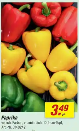 toom Baumarkt Paprika Angebot