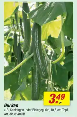 toom Baumarkt Gurken Angebot