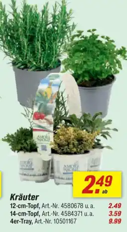 toom Baumarkt Kräuter Angebot