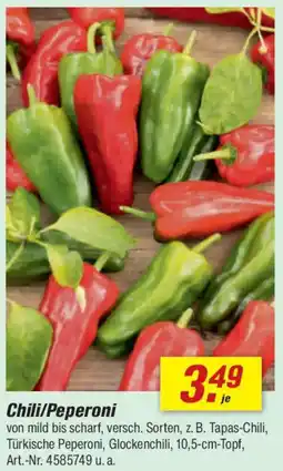 toom Baumarkt Chili/Peperoni Angebot