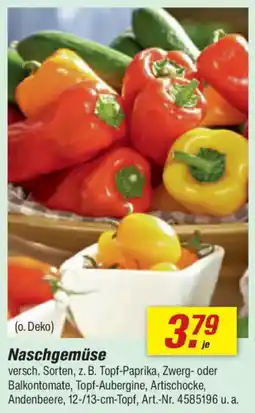 toom Baumarkt Naschgemüse Angebot
