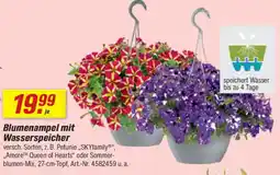 toom Baumarkt Blumenampel mit Wasserspeicher Angebot