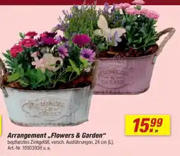 toom Baumarkt Arrangement,,Flowers & Garden" Angebot