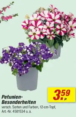 toom Baumarkt Petunien- Besonderheiten Angebot