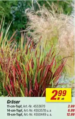 toom Baumarkt Gräser Angebot