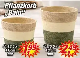 Posten Börse Pflanzkorb Balu" Angebot