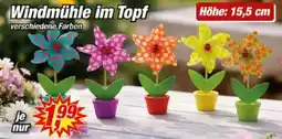 Posten Börse Windmühle im Topf Angebot