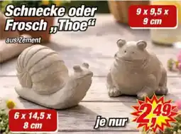 Posten Börse Schnecke oder Frosch „Thoe Angebot