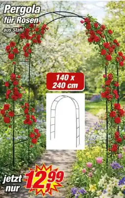 Posten Börse Pergola für Rosen Angebot