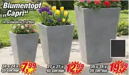 Posten Börse Blumentopf Capri" Angebot