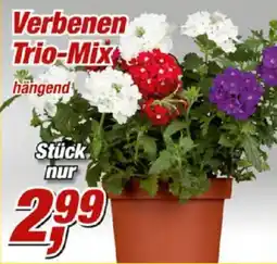 Posten Börse Verbenen Trio-Mix Angebot