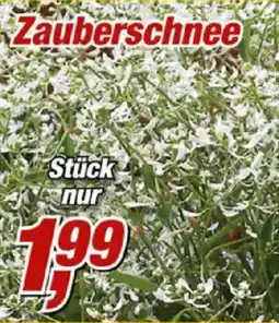 Posten Börse Zauberschnee Angebot