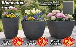 Posten Börse Blumentopf -gerillt Angebot