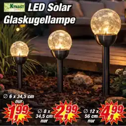 Posten Börse KYNAST LED Solar Glaskugellampe Angebot