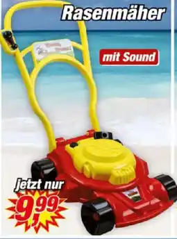 Posten Börse Rasenmäher Angebot