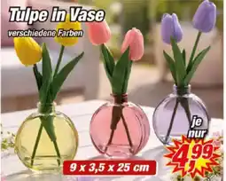 Posten Börse Tulpe in Vase Angebot