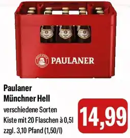 Feneberg Paulaner Münchner Hell Angebot
