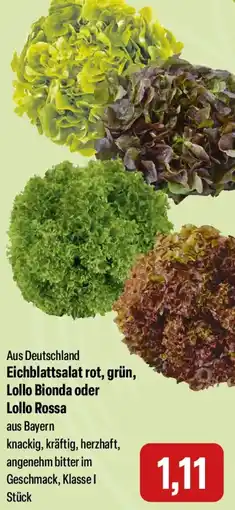 Feneberg Eichblattsalat rot, grün, Lollo Bionda oder Lollo Rossa Angebot