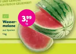 Biomarkt Wassermelone Angebot