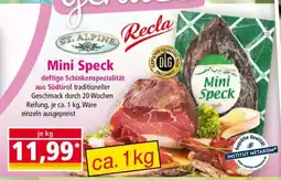 Norma Mini Speck Angebot