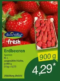 Norma Erdbeeren Angebot