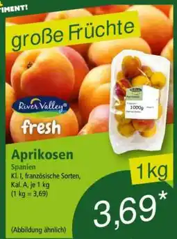 Norma Aprikosen Angebot
