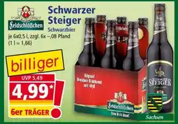 Norma Schwarzer Steiger Angebot
