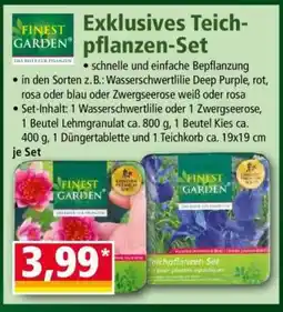 Norma Exklusives Teichpflanzen-Set Angebot