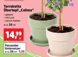 Thomas Philipps Terrakotta Übertopf „Calima“ Angebot
